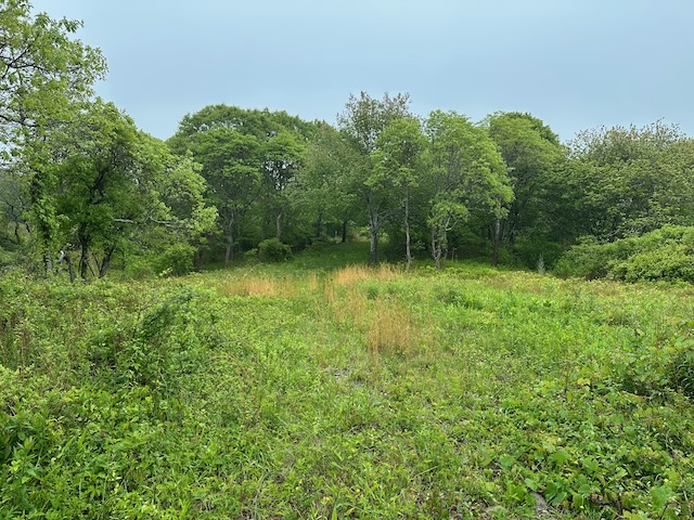 Featured Properties on Martha's Vineyard