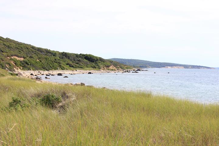 47%20spring%20point%20beach%2EJPG