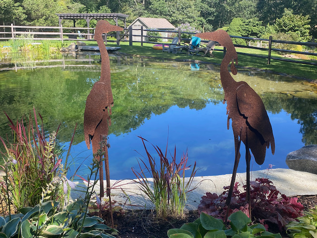 AC236ED6%2DD077%2D4FEF%2D8A24%2DFE1186F8DDD2%2Ejpeg