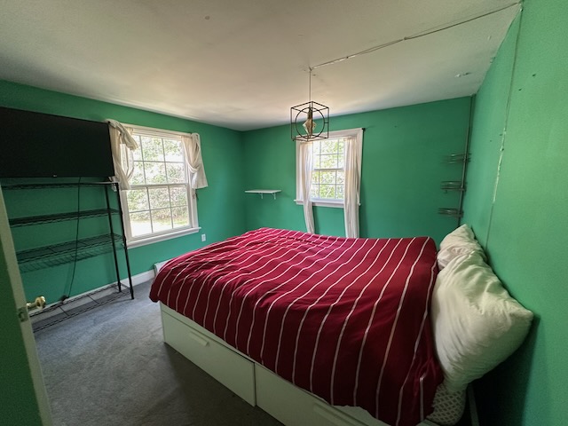 Brownprimarybed%2Ejpeg