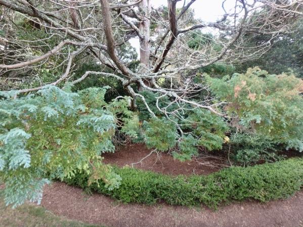CamLandscaping%2Ejpg