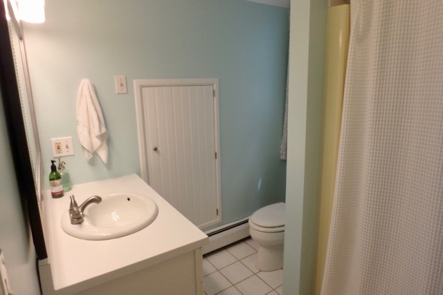 GuestbathL%2Ejpg
