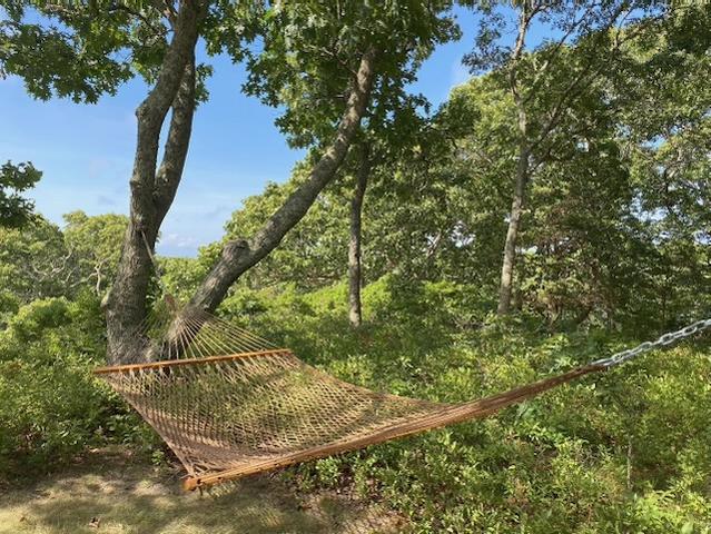 Hammock%2Ejpeg