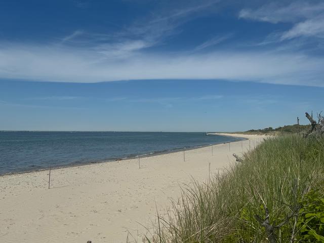 IMG%5F7812%2Ejpeg