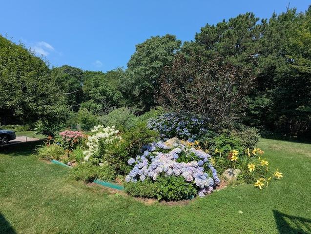 Stahlsumgarden%2Ejpeg