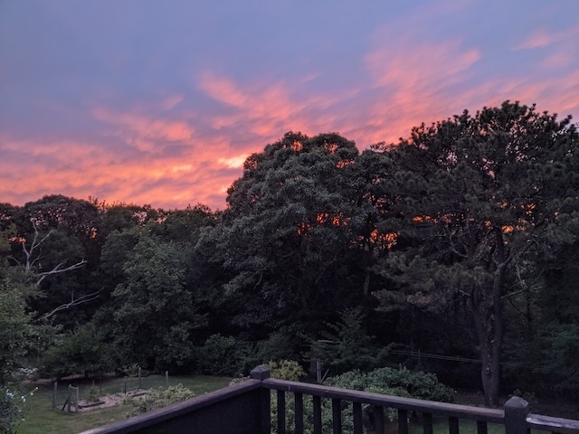 Stahlsunset%2Ejpeg