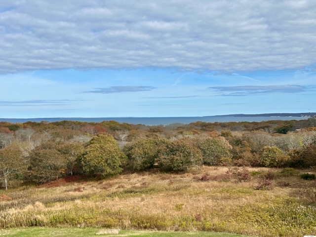 TheiseWatrerview%24%24%2Ejpeg