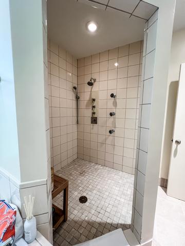 Theiseguestshower10%2Ejpeg