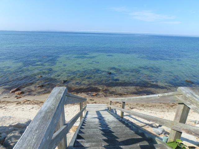 buzz%20stairs%20to%20beach%2EJPG