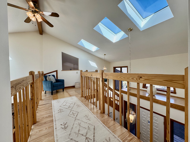 df%20cat%20walk%2Ejpeg