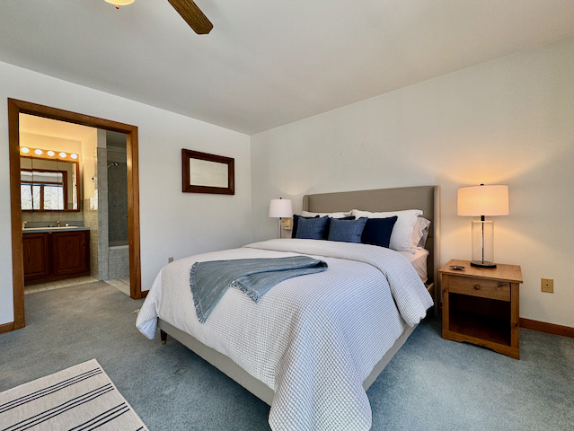 df%20primary%20down%202%2Ejpeg