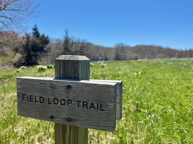 field%20loop%20trail%2Ejpeg