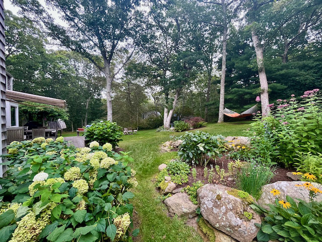 gold%20hammock%20%2Ejpeg