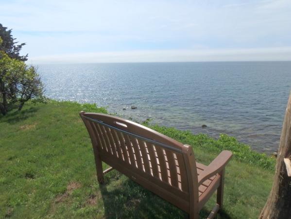 lamp%2078%20view%20from%20bench%2Ejpg