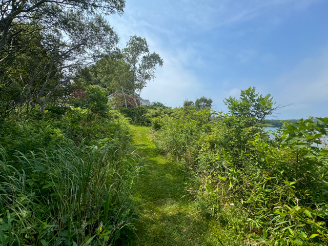 sch%20path%20to%20beach%2Ejpg